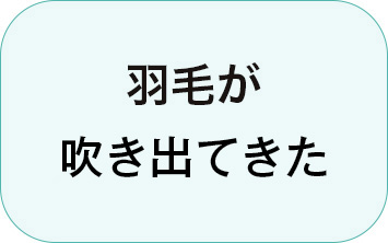 リフォーム工程1