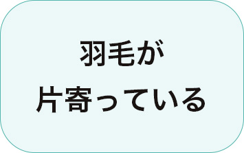 リフォーム工程2